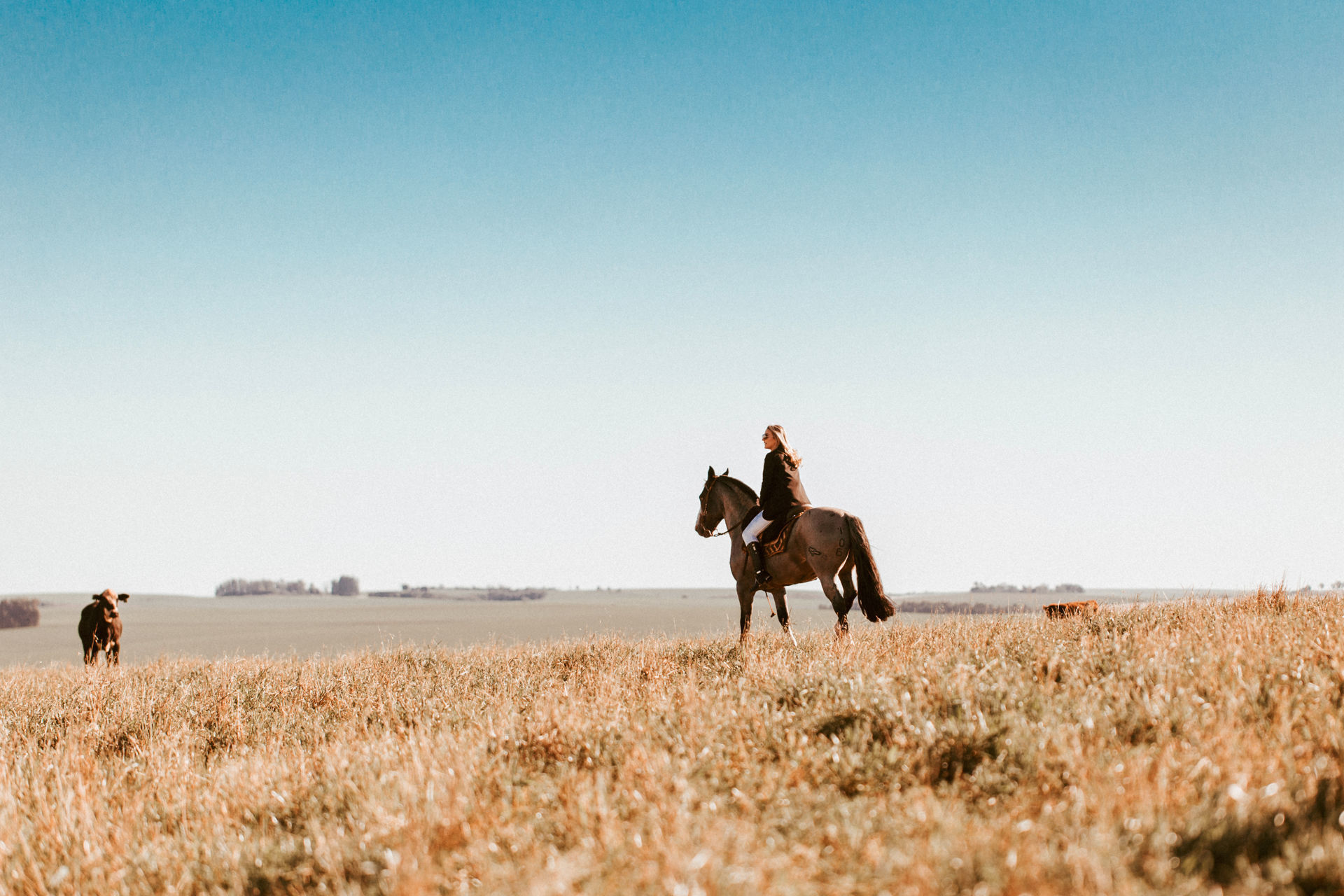 Foto Como já dizia a música... Ela é demais. - Imagem 14