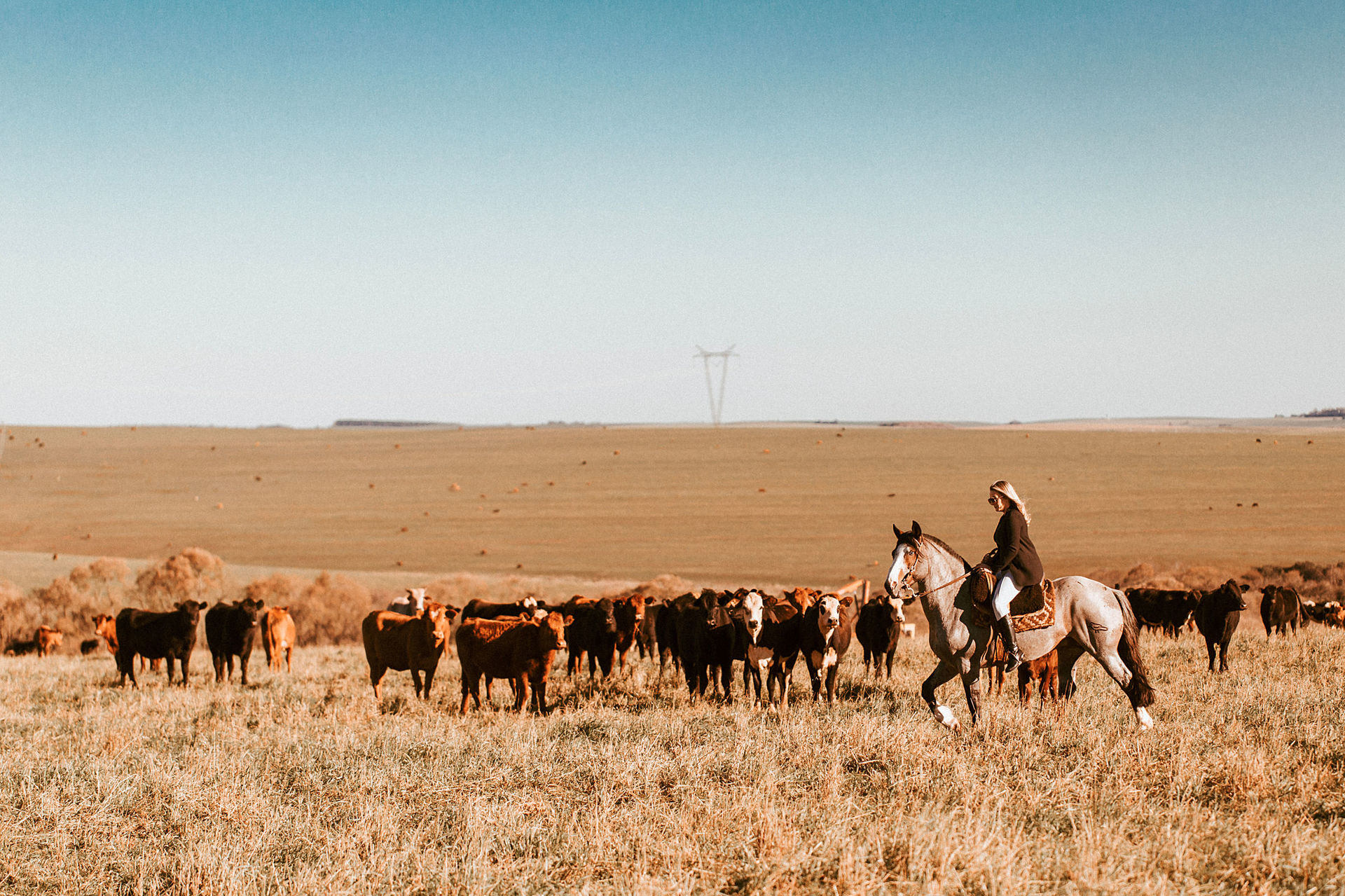 Foto Como já dizia a música... Ela é demais. - Imagem 15