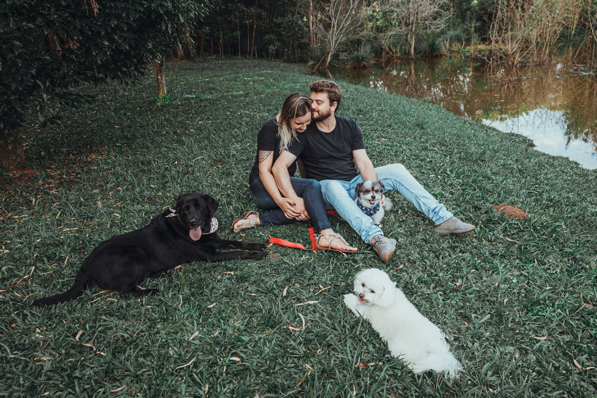 Foto Simplesmente perfeito ! - Imagem 33