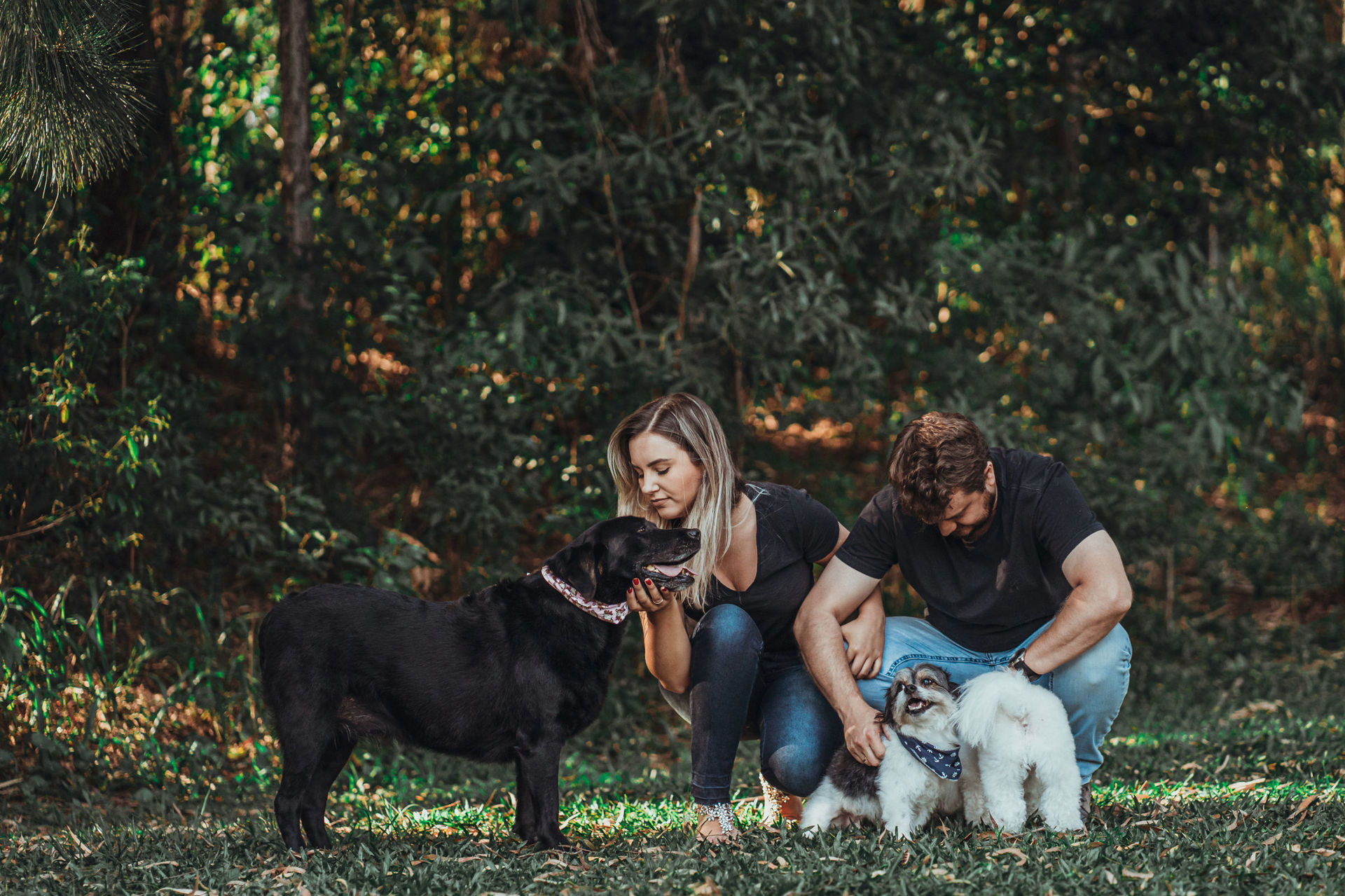 Foto Simplesmente perfeito ! - Imagem 35