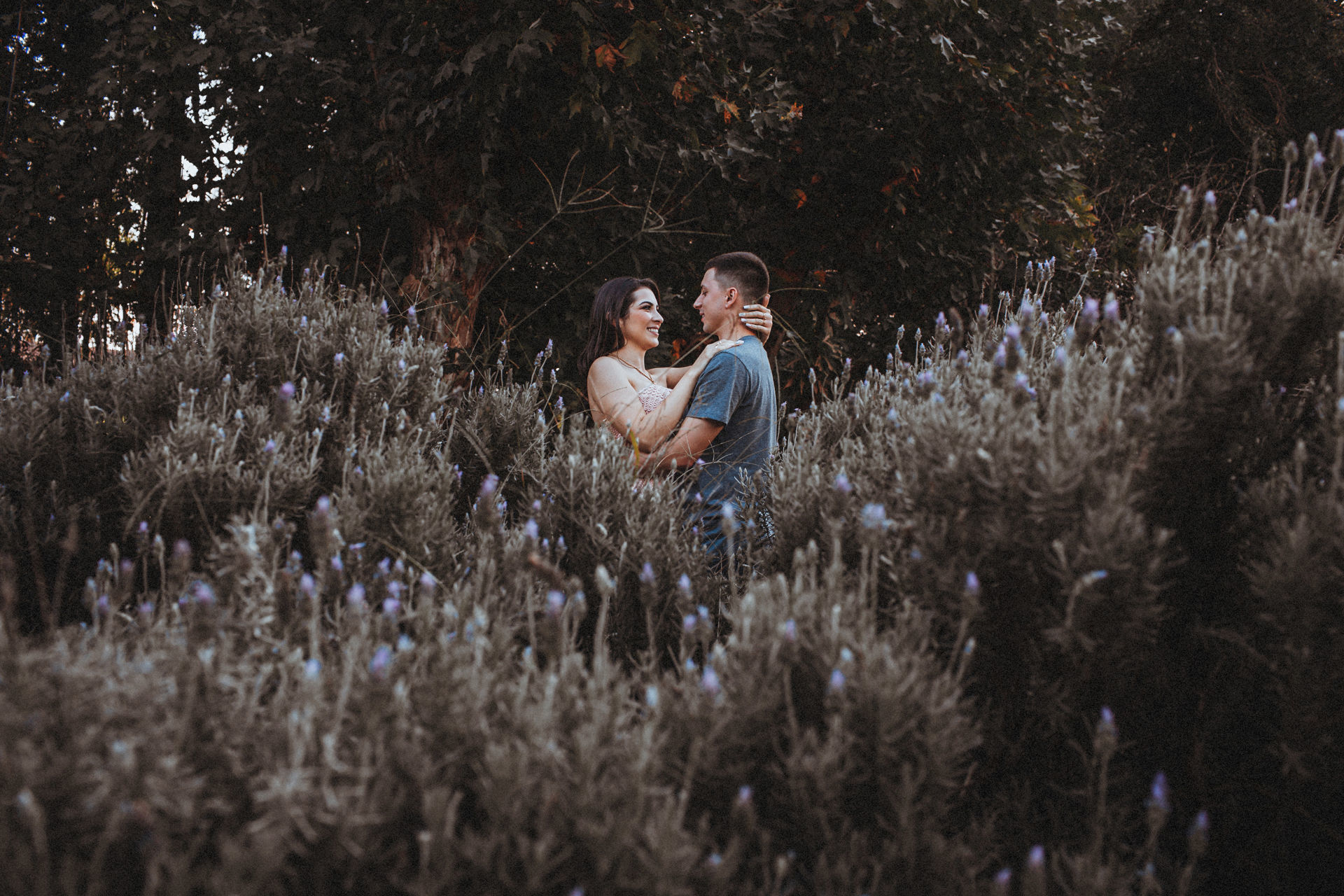 Foto Ensaio na Serra Gaúcha - Imagem 8