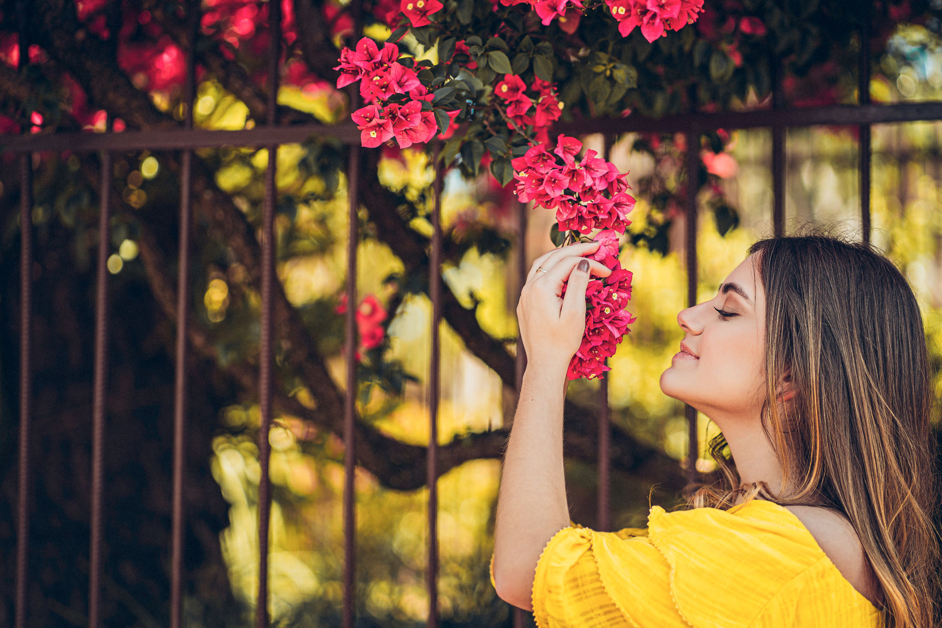 Foto Pré 15 Anos da Gianna - Imagem 4