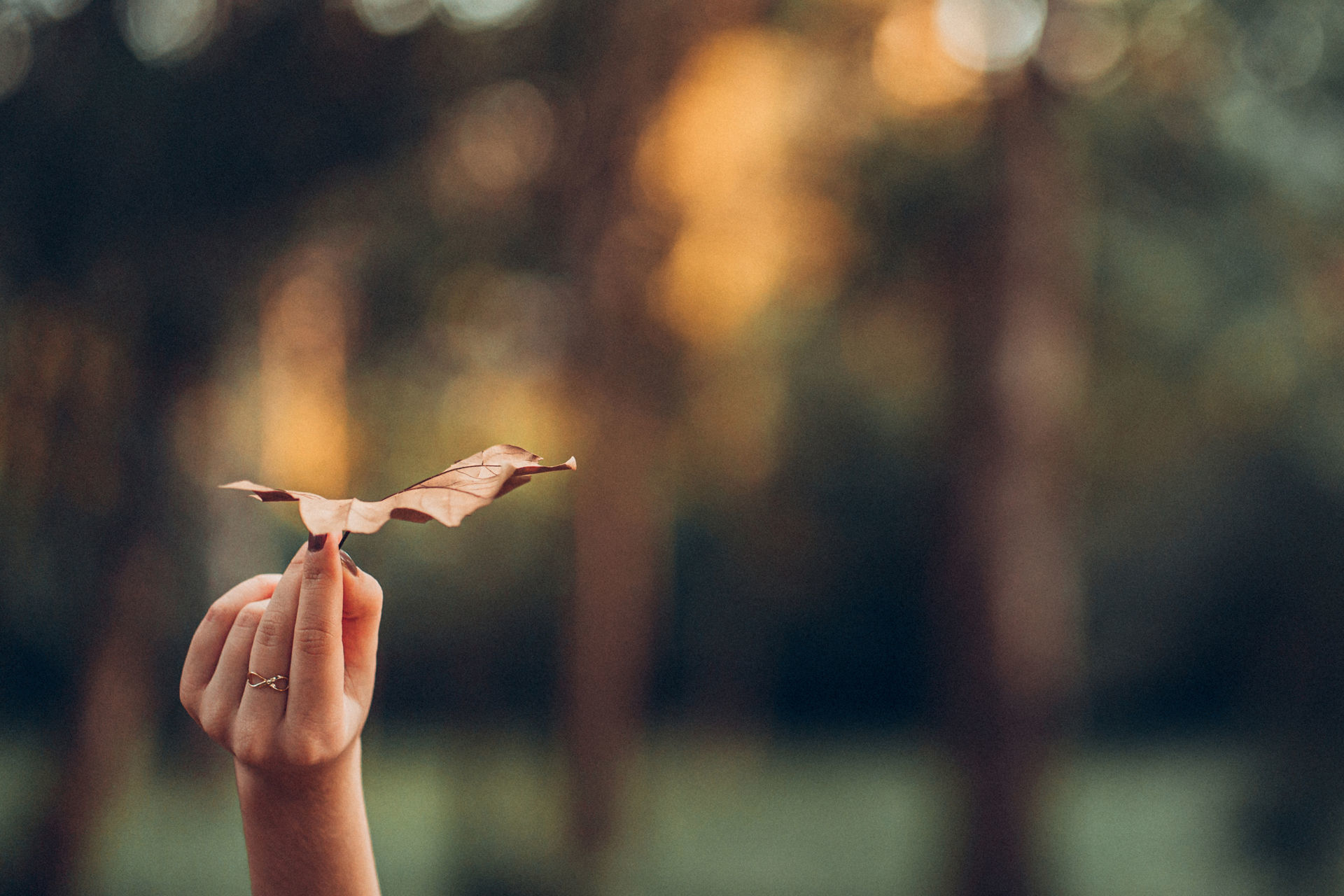 Foto Pré 15 Anos da Gianna - Imagem 28