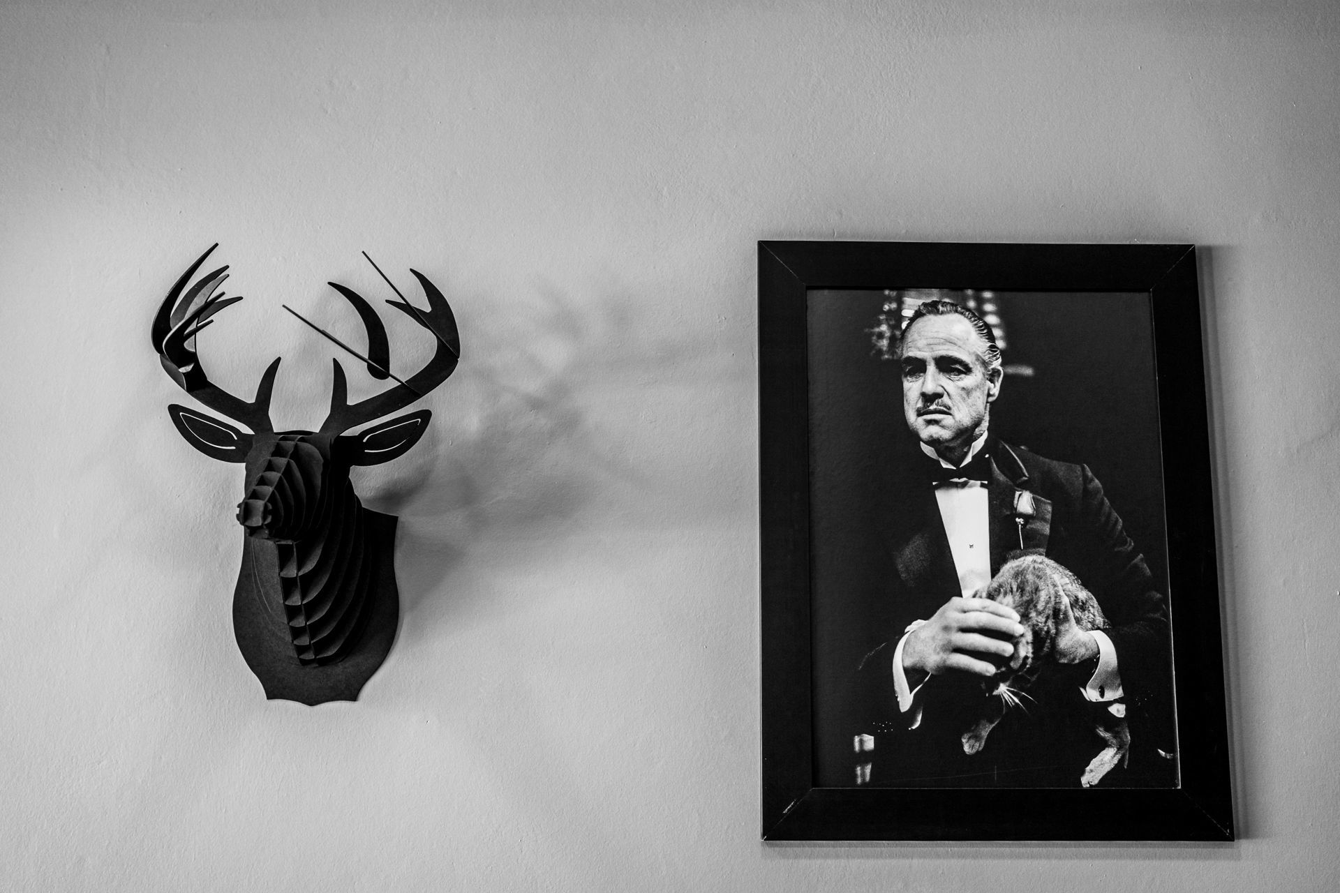 Foto Ivana e Anderson - Casamento - Imagem 4