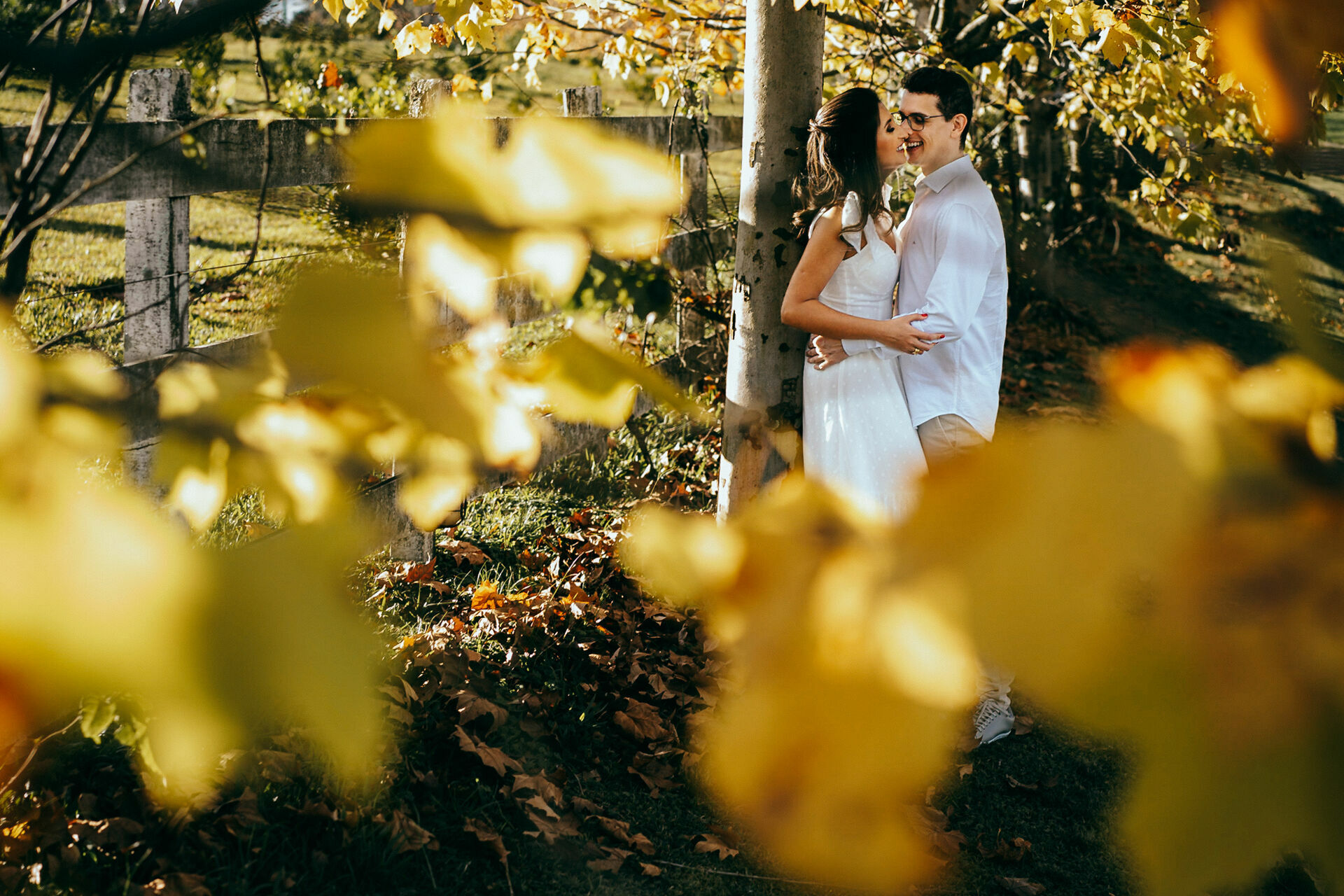 Foto Andrea e Felipe - Imagem 2