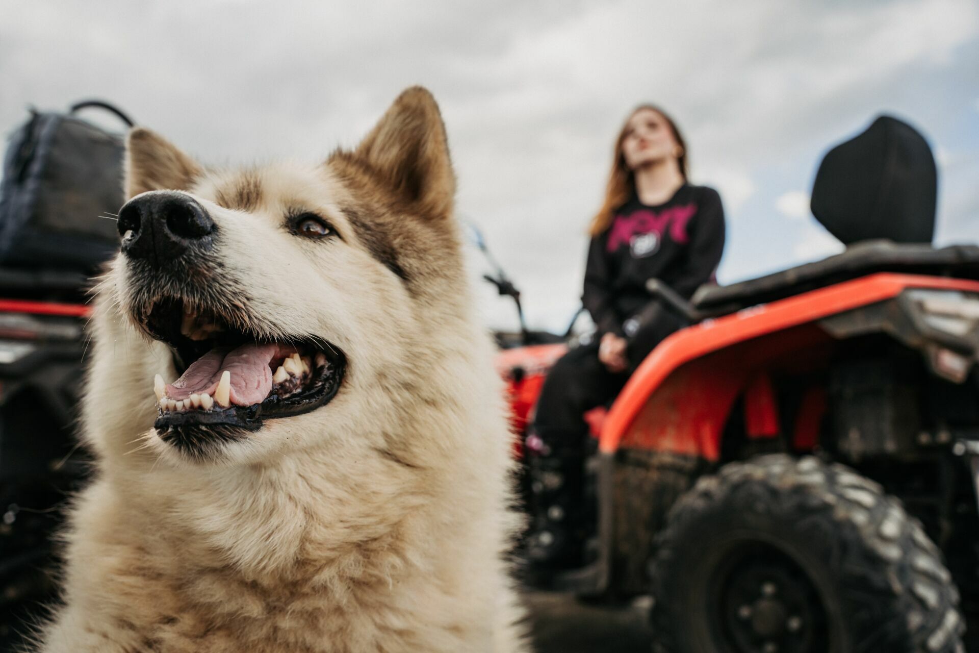 Foto Naiana - Ensaio - Imagem 2