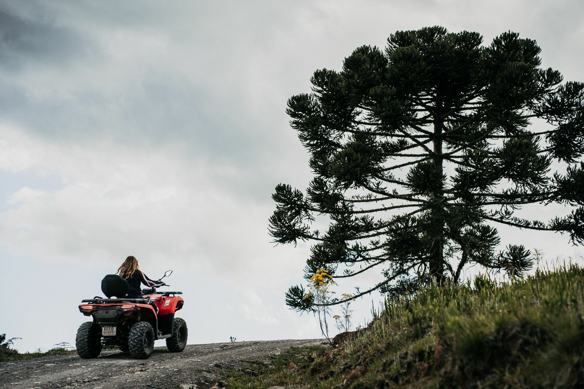 Foto Naiana - Ensaio - Imagem 1