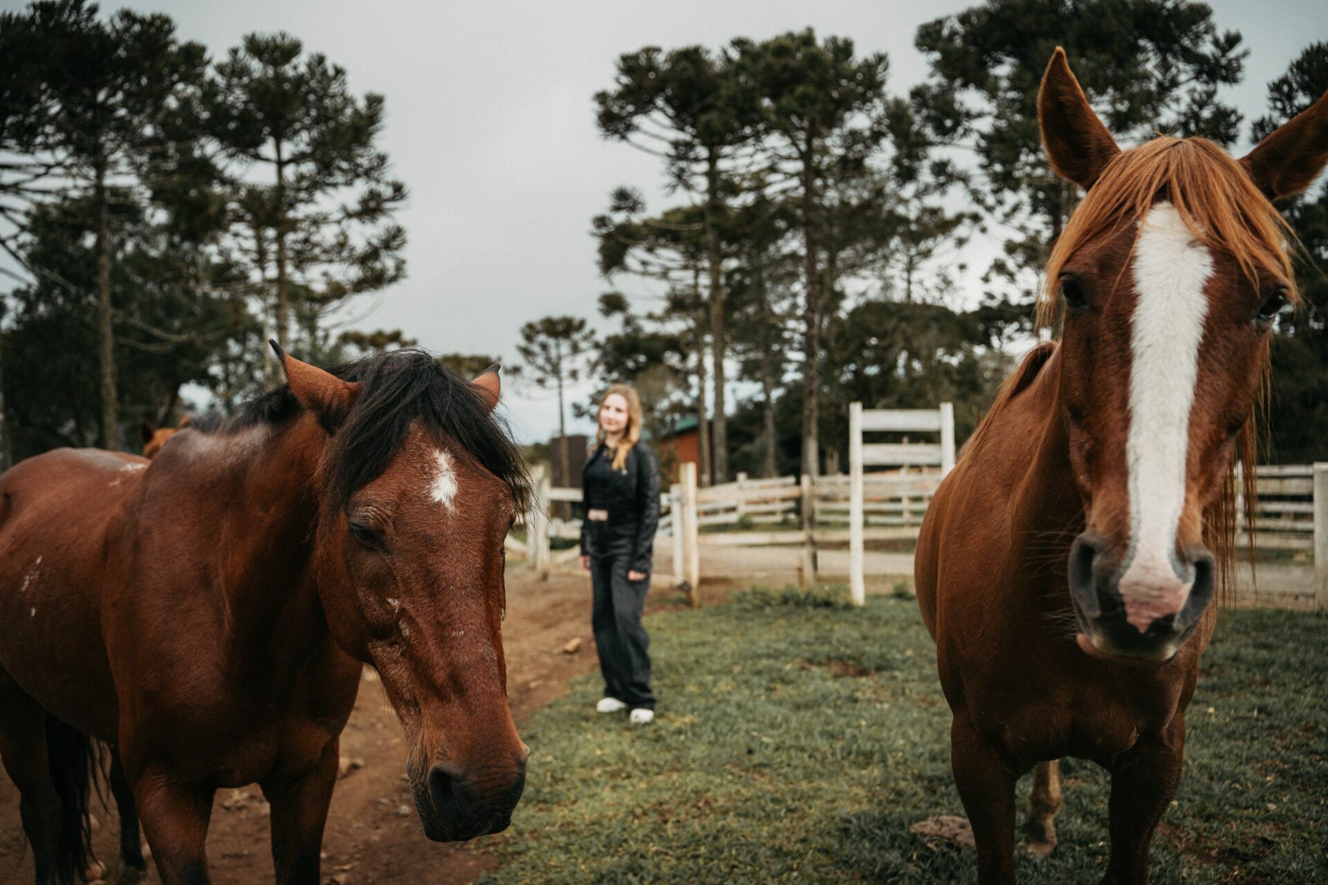 Foto Naiana - Ensaio - Imagem 13