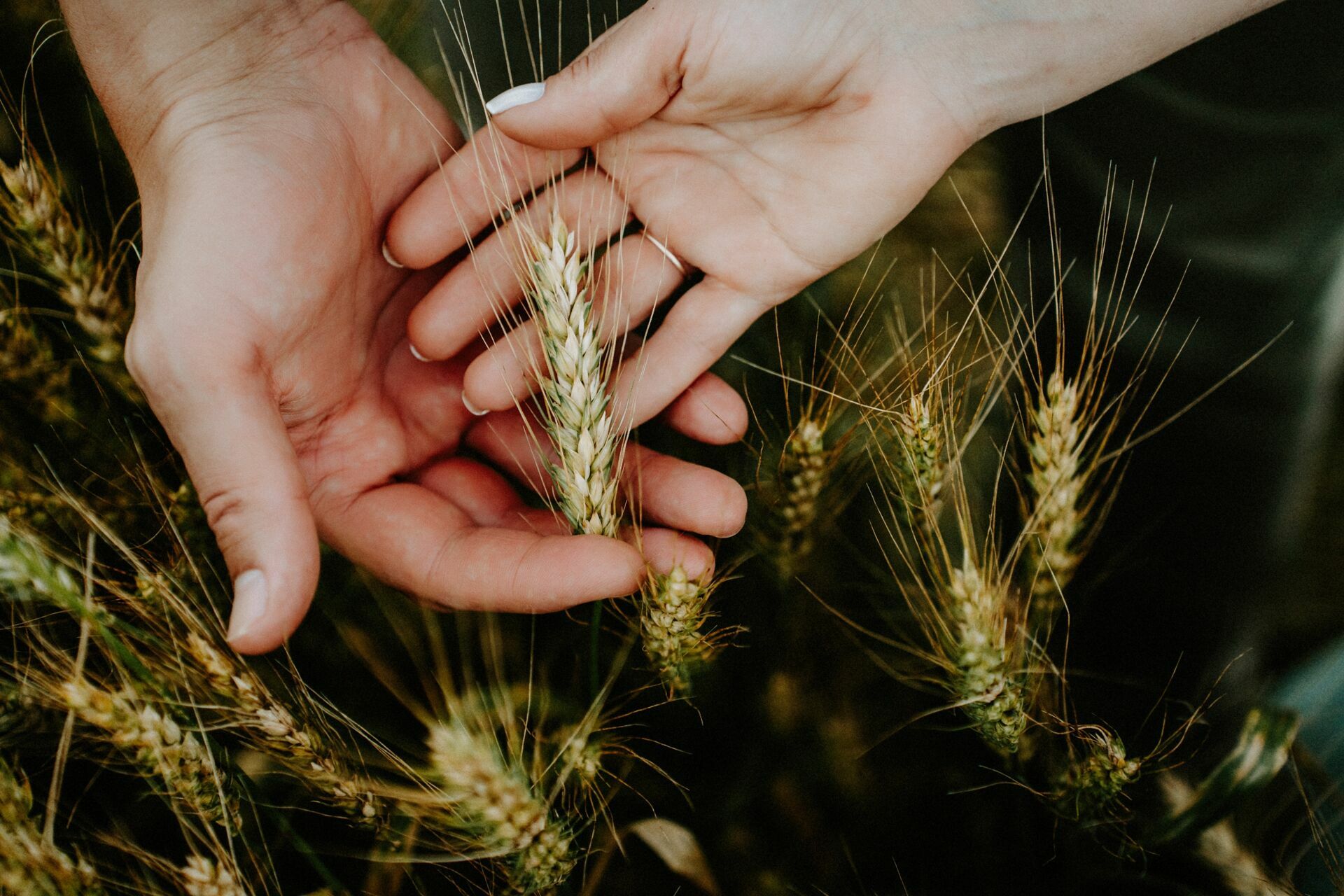 Foto Mônica e Guilherme - Ensaio - Imagem 23