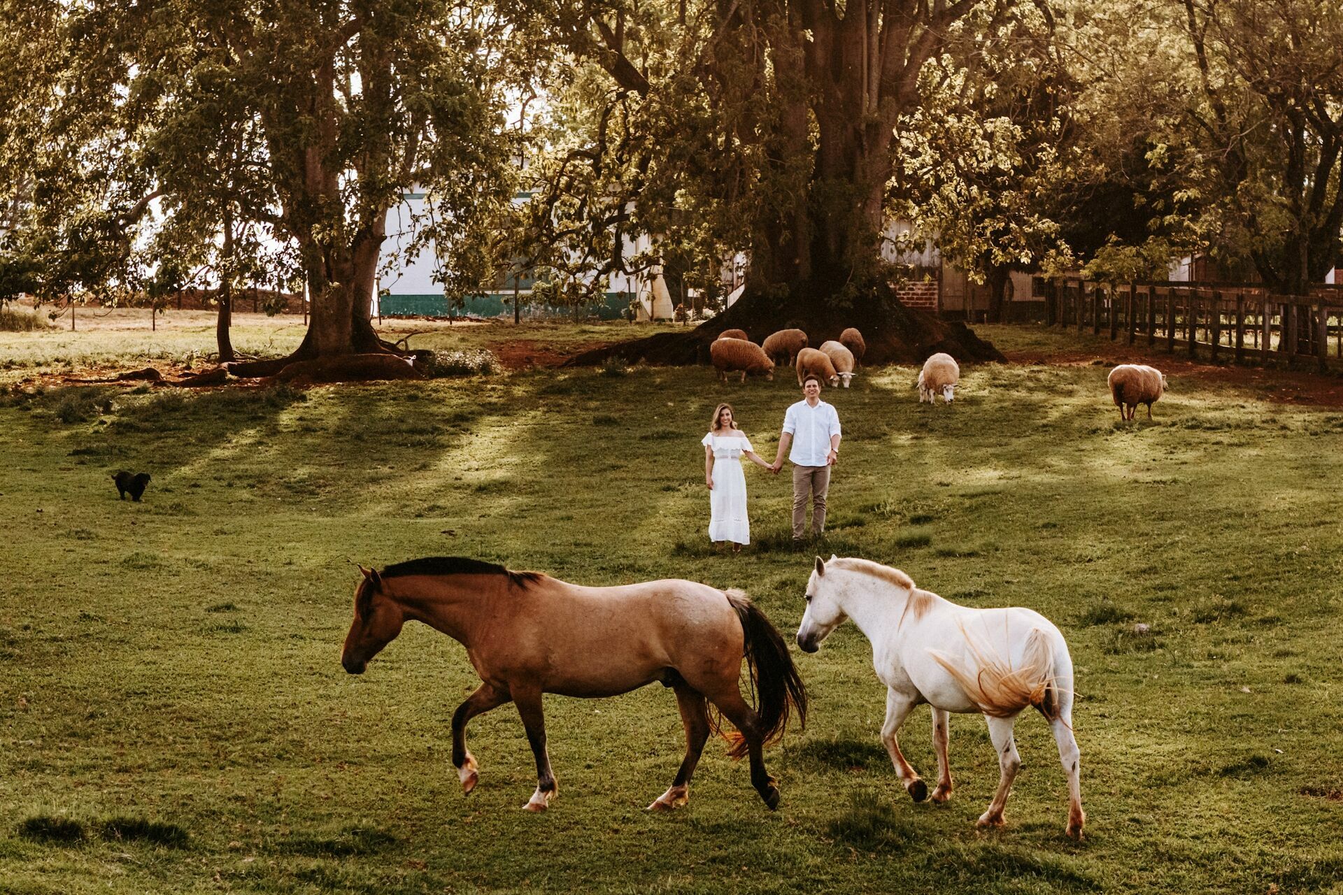 Foto Mônica e Guilherme - Ensaio - Imagem 15