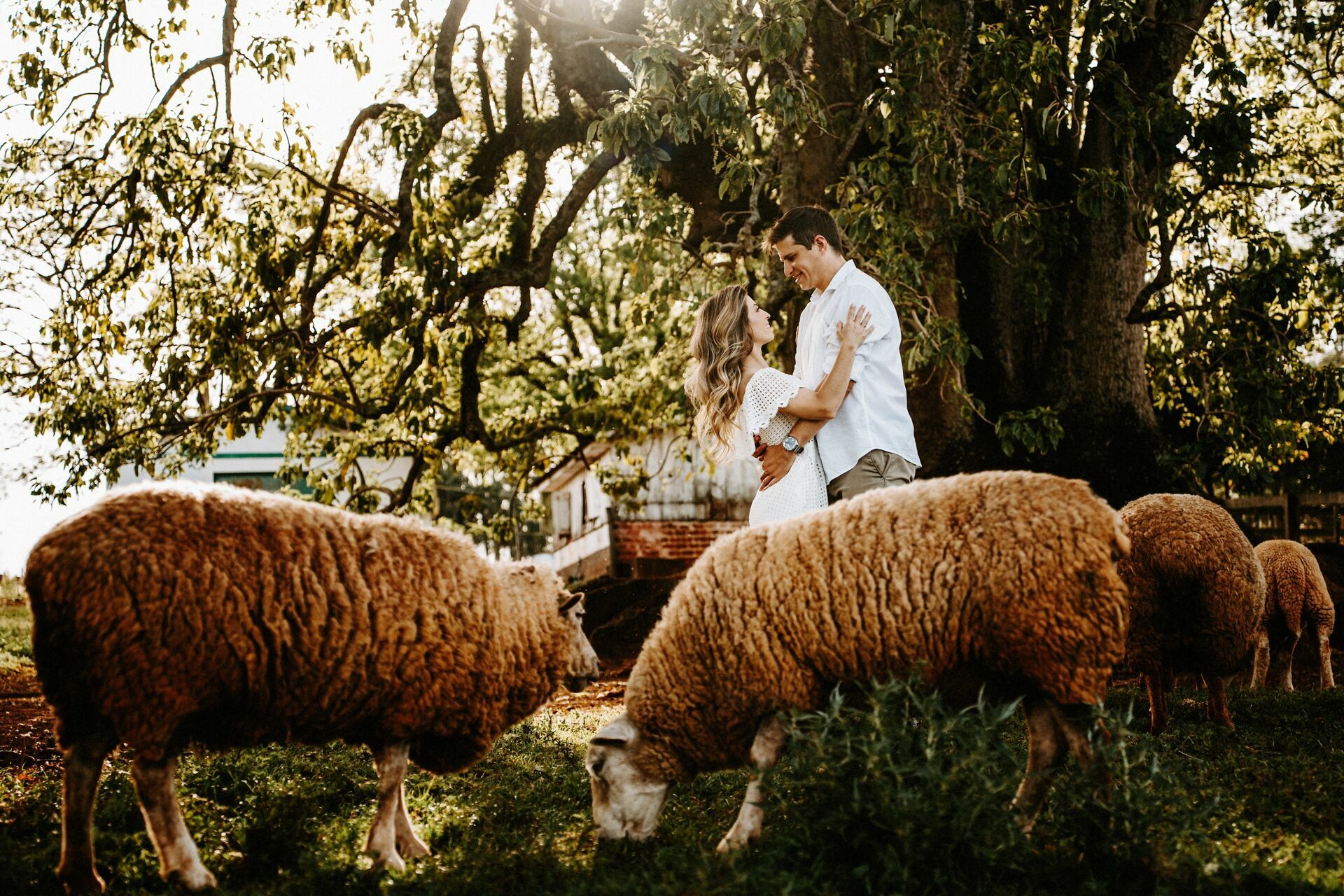 Foto Mônica e Guilherme - Ensaio - Imagem 13